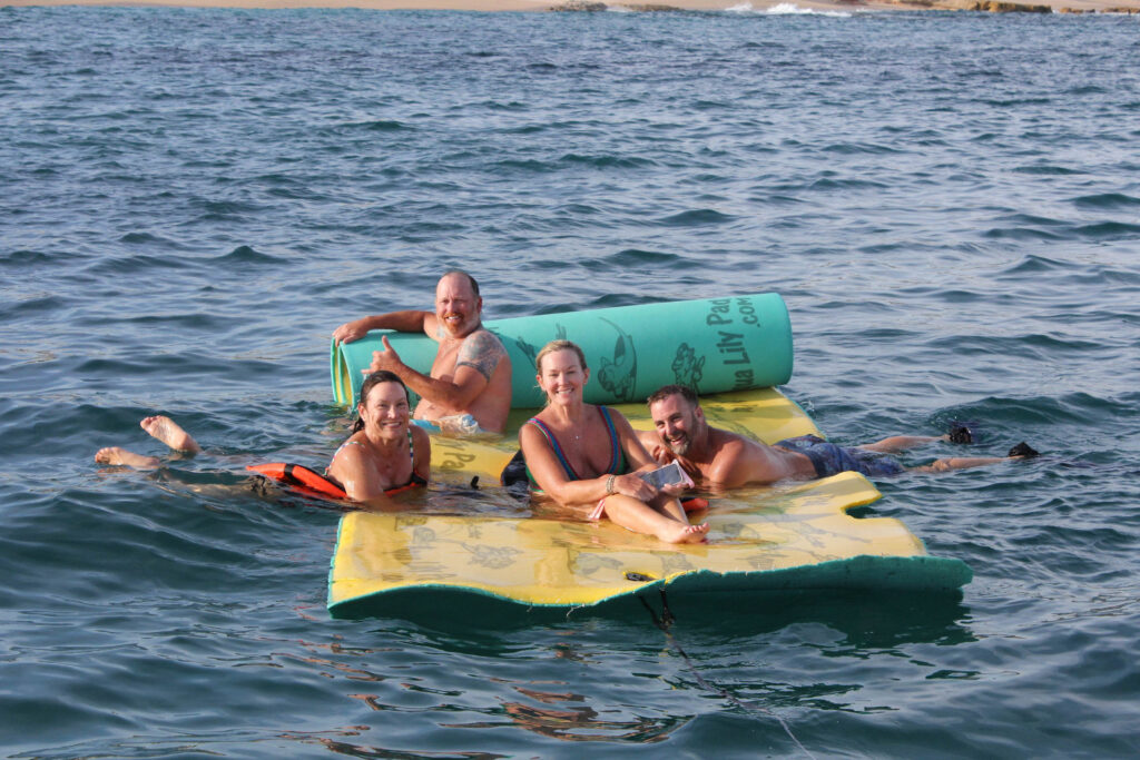 Are There Snorkeling or Diving Tours From Cabo San Lucas