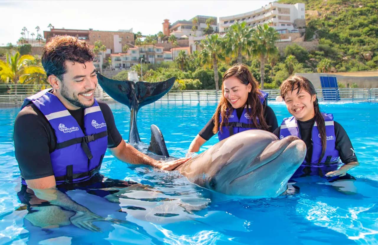 Cabo Adventures Swimming with Dolphins