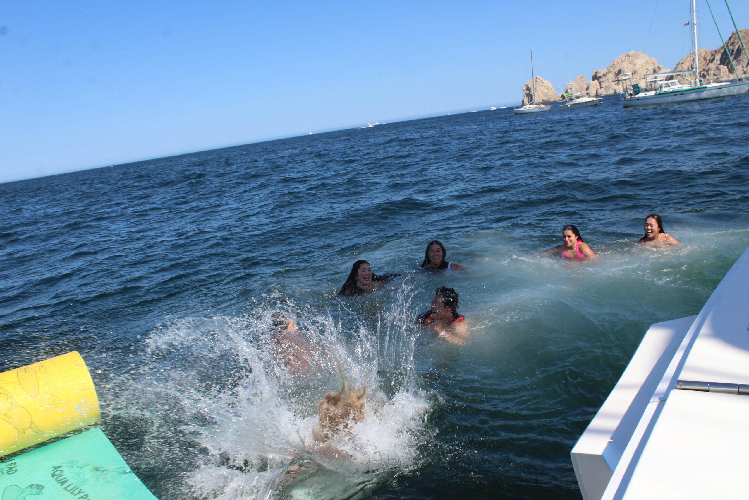 Can You Swim With Dolphins in Cabo