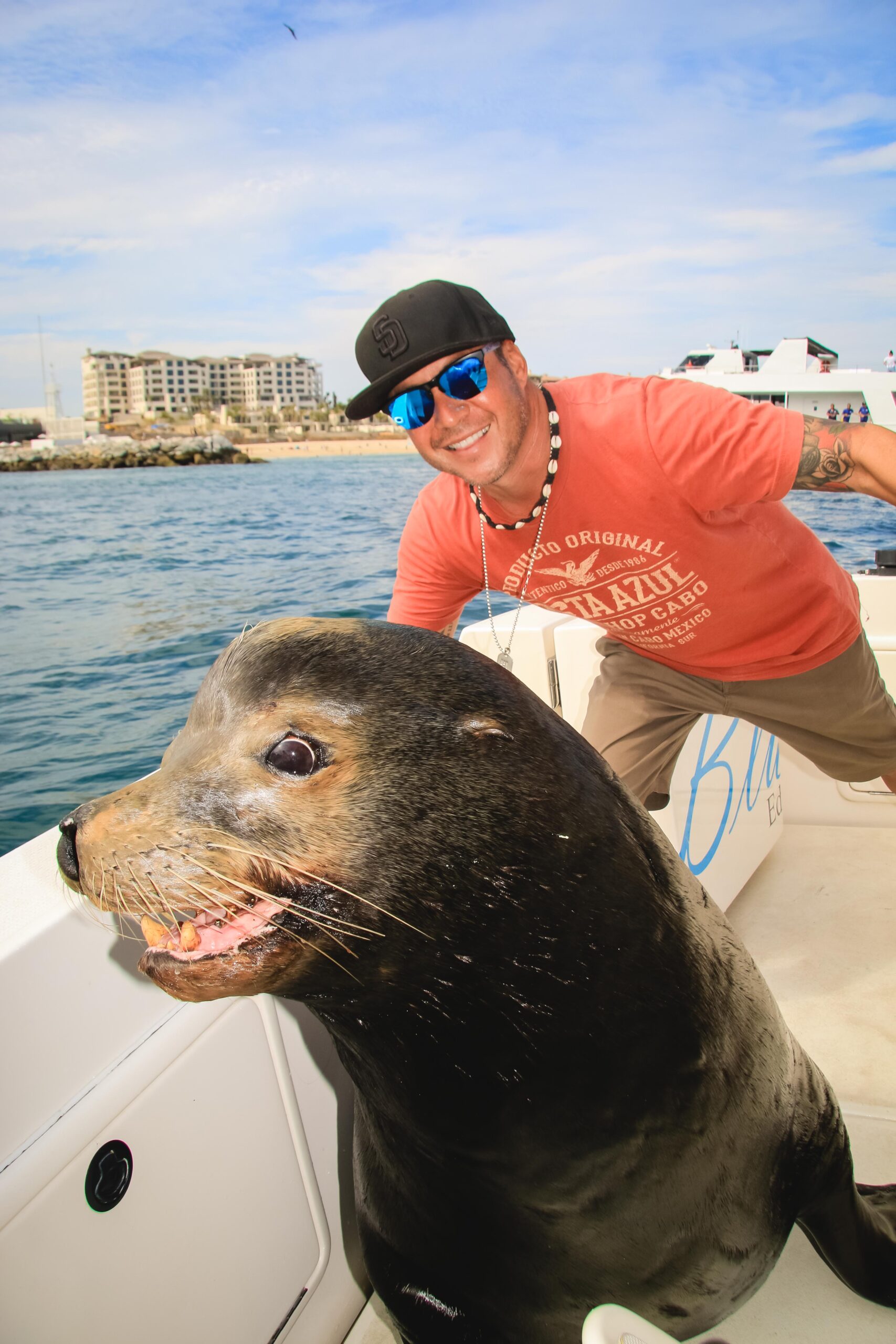 Can I See Sea Lions On A Cabo Boat Tour