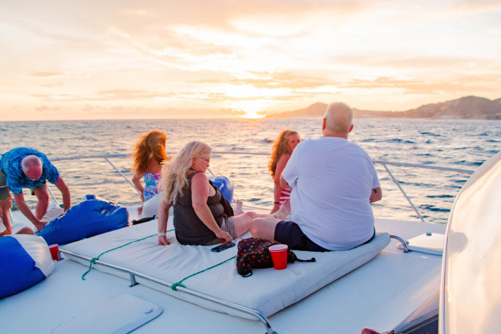 Is Wildlife Viewing Guaranteed On A Cabo Boat Tour