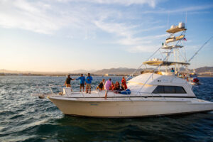 Where Do Most Cabo Boat Tour Departures Leave From