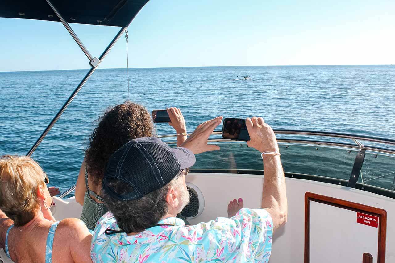 Cabo Sunset Cruise Sightseeing