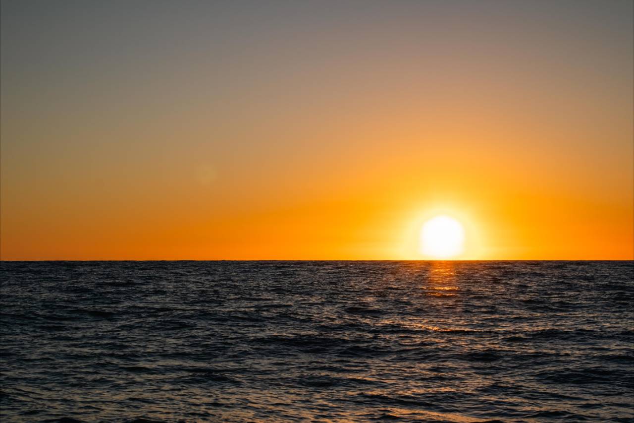 Cabo Evening Cruise