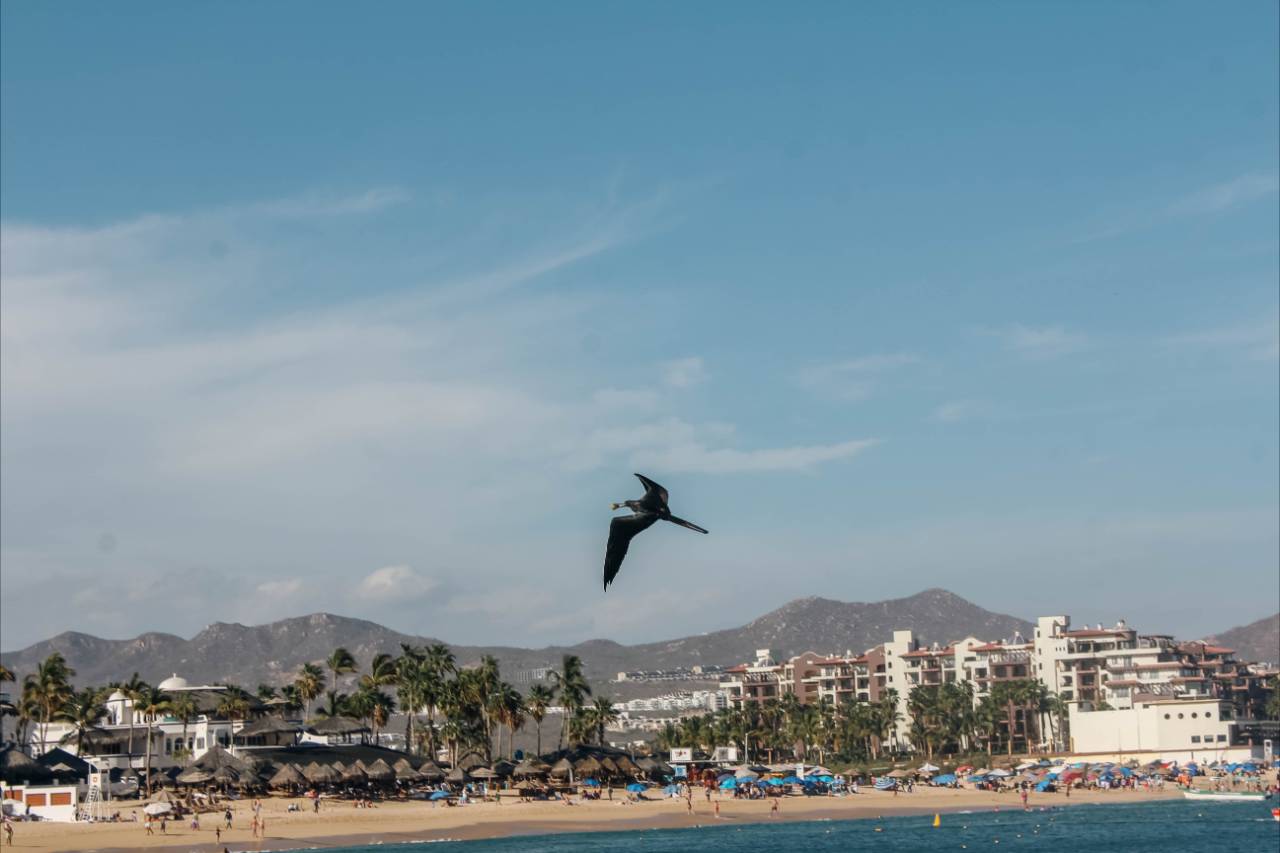 What Beaches Do Cabo Yacht Tours Visit