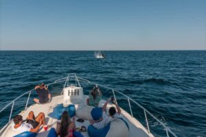 What Is the Cancellation Policy for Cabo Yacht Charters