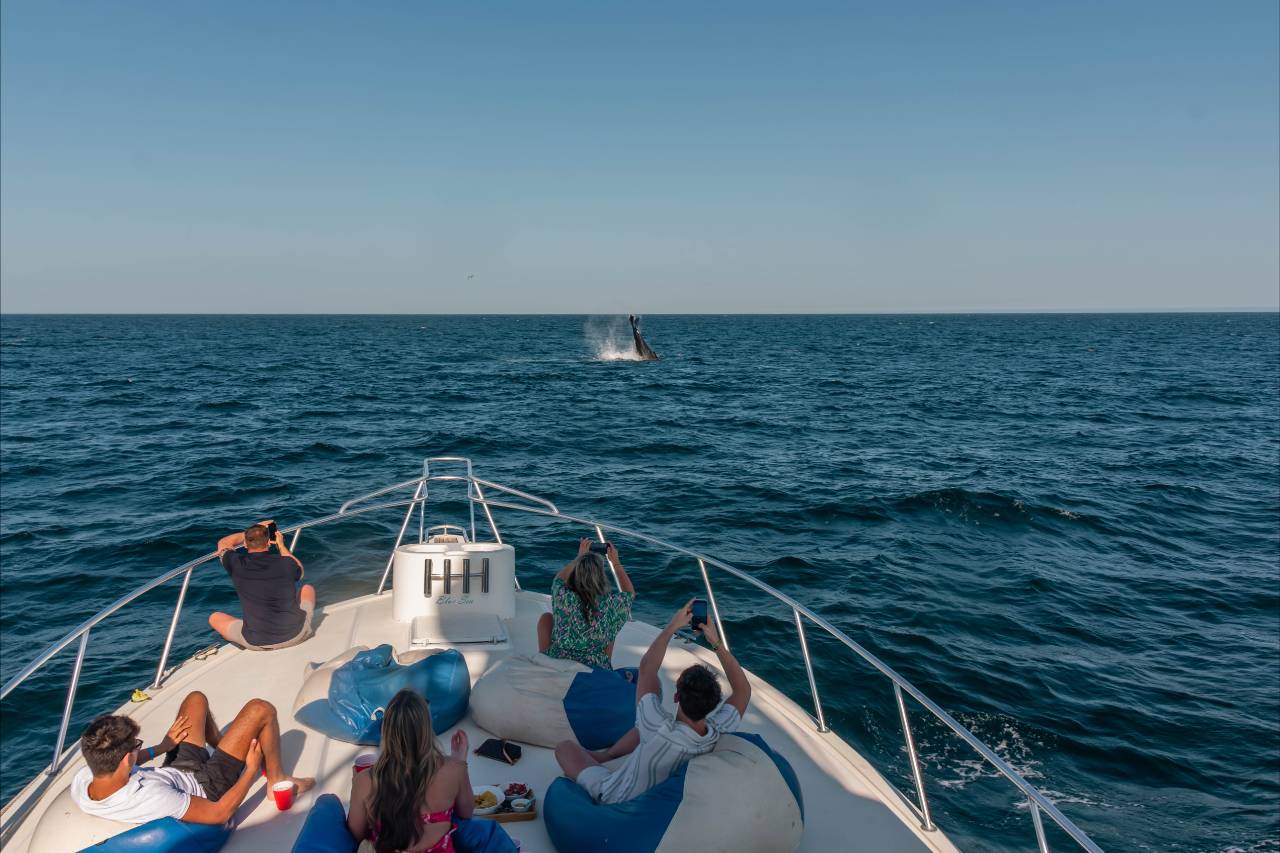 What Is the Cancellation Policy for Cabo Yacht Charters