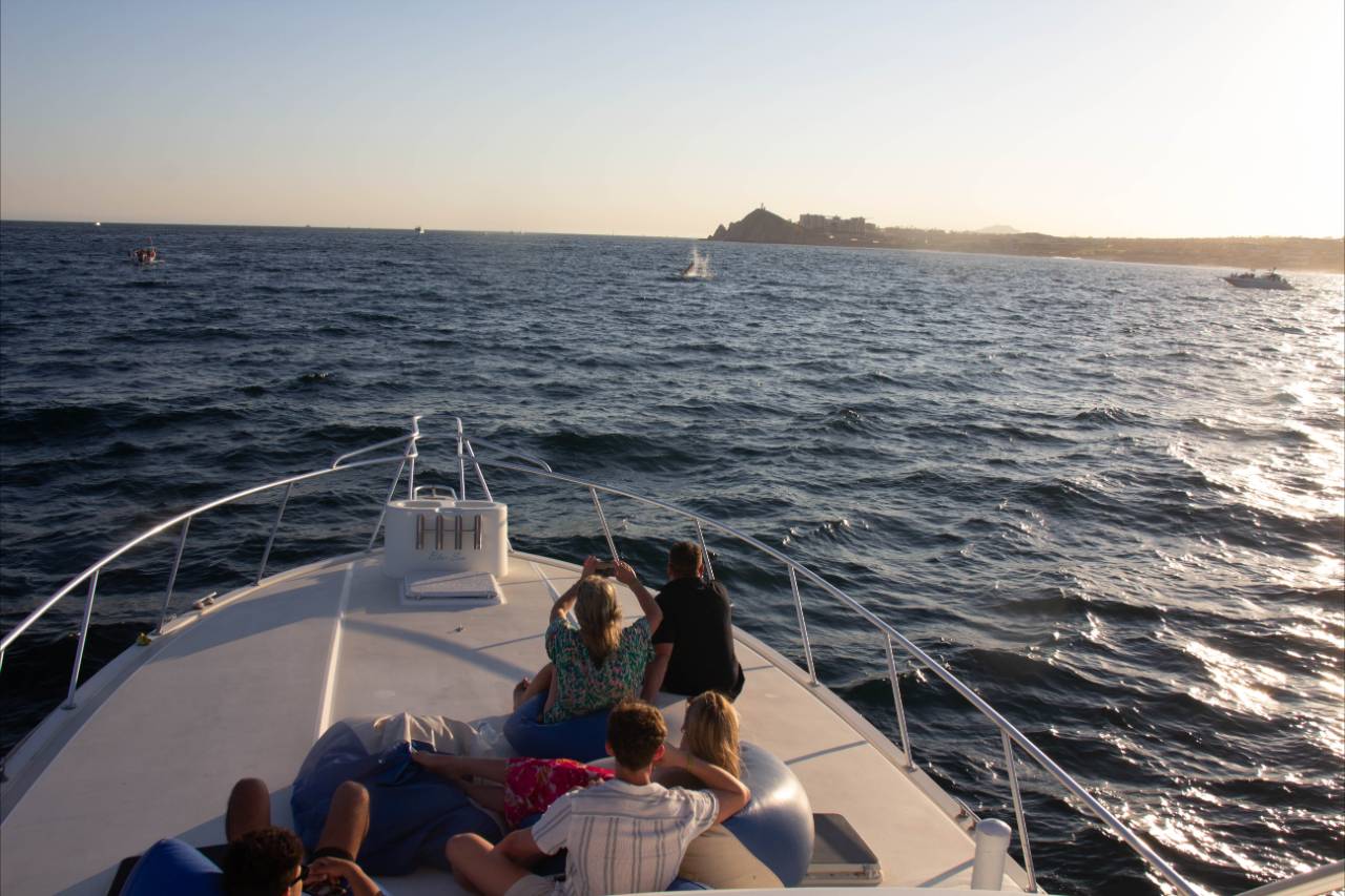 Where Do Cabo Yacht Charters Leave From
