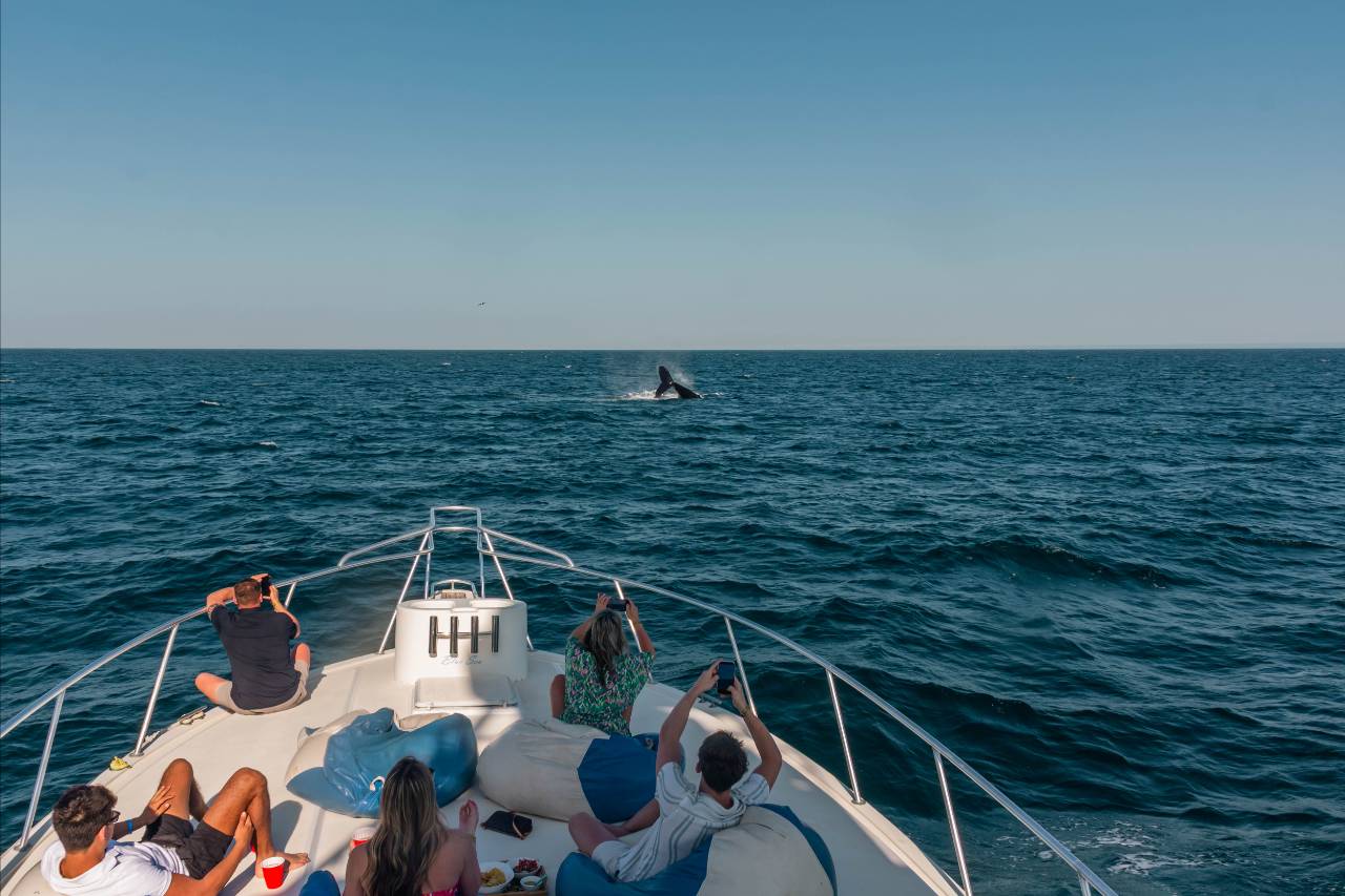 What Size Yacht Is Best for 10 People in Cabo