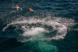 How Much Does a Four-Hour Private Yacht Charter in Cabo Cost