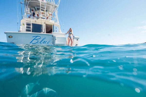 Snorkel in Cabo San Lucas